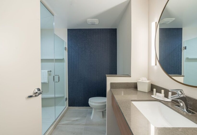 Люкс, Fairfield Inn & Suites By Marriott Gainesville I 75