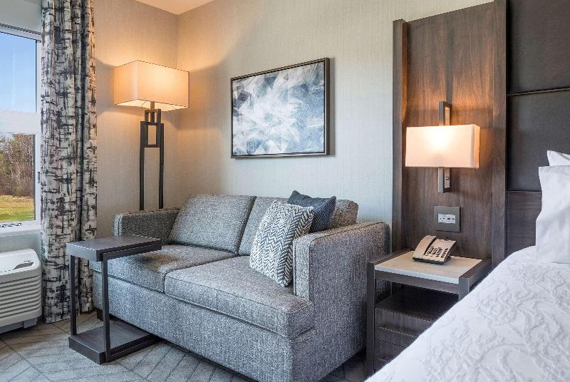 Стандартный Номер Кровать Кинг, Hilton Garden Inn Hanover Lebanon
