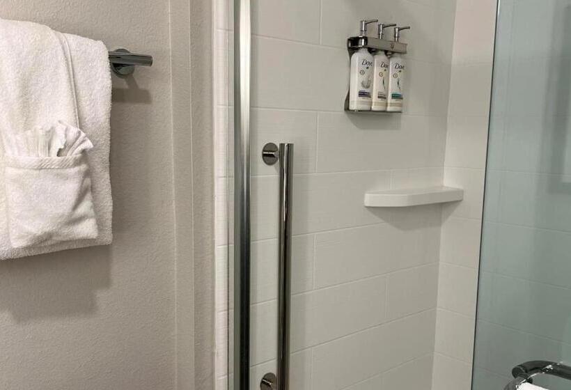 带大床的标准间, Holiday Inn Express & Suites Bryan   College Station, An Ihg