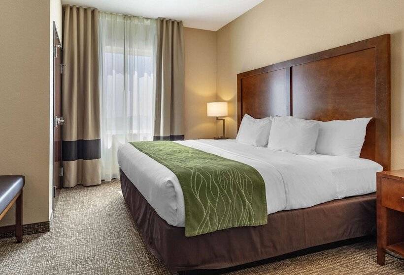 Люкс, Comfort Inn & Suites