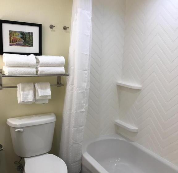 Номер Стандарт, Holiday Inn & Suites Arden   Asheville Airport, An Ihg
