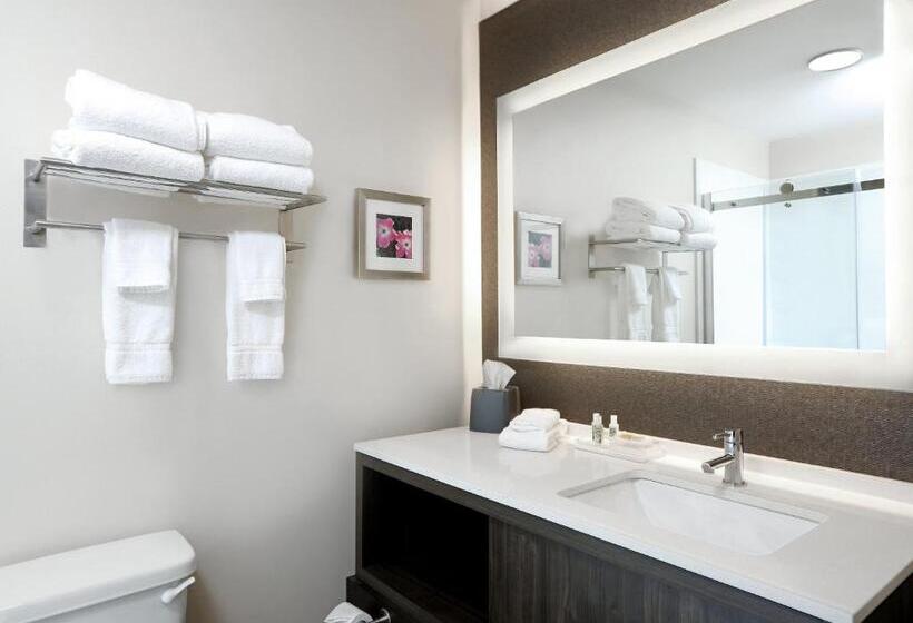 Люкс, Holiday Inn & Suites Sioux Falls   Airport, An Ihg