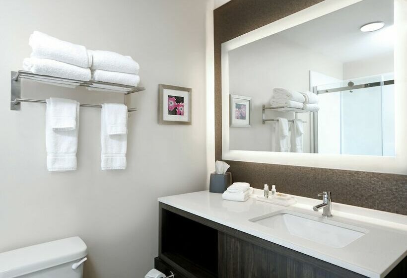 Люкс, Holiday Inn & Suites Sioux Falls   Airport, An Ihg