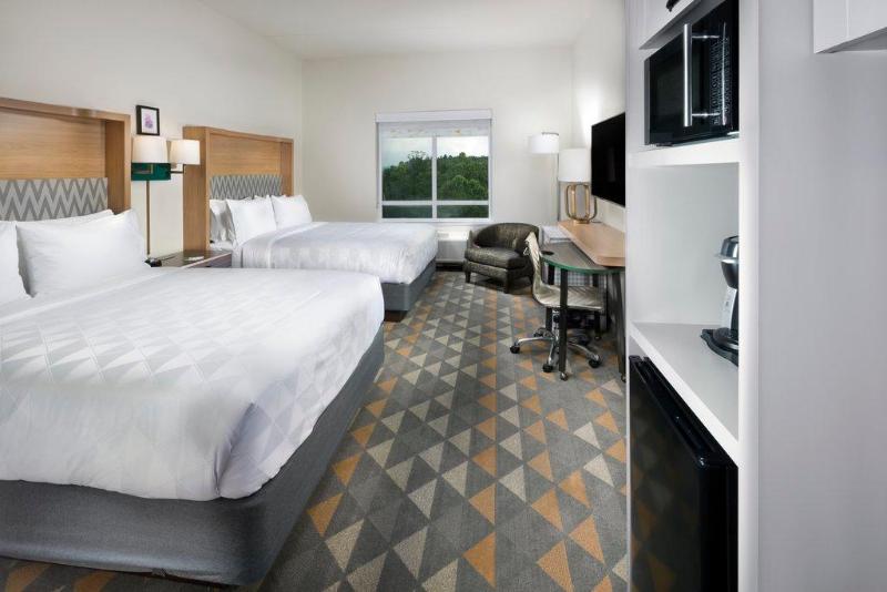 Номер Стандарт Адаптированный для Инвалидов, Holiday Inn & Suites Arden   Asheville Airport, An Ihg