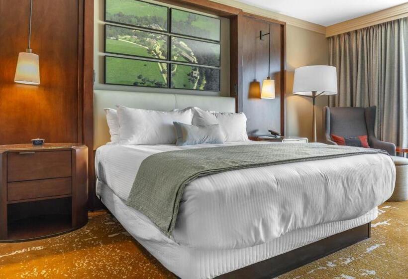اتاق لوکس با تخت بزرگ, Omni Louisville