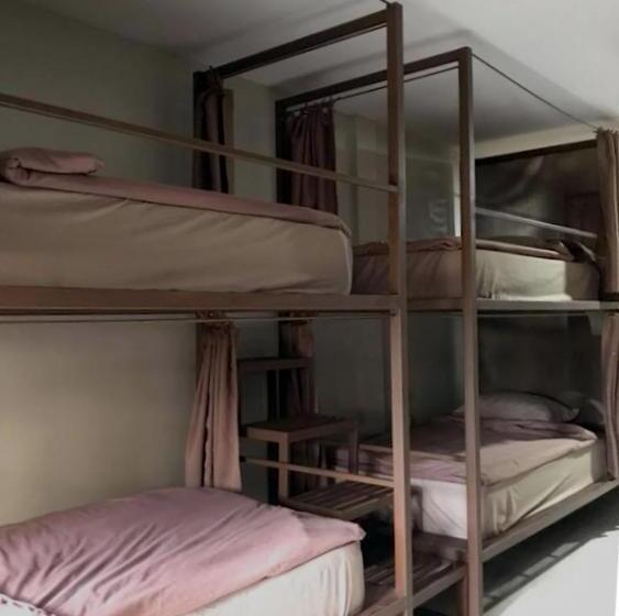 Кровать в Общей Комнате, Chato Hostel