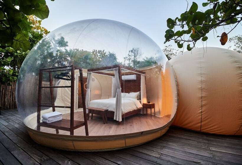 Standard Tent, Astral Tulum