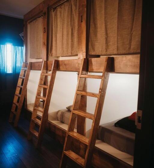 Кровать в Общей Комнате, The Haven Hostel