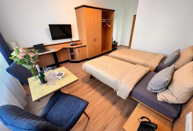 Номер Стандарт Адаптированный для Инвалидов, Hil   Hotel Im Lus Schopfheim