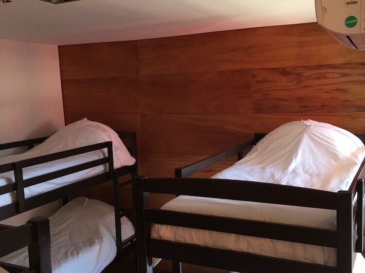 Кровать в Общей Комнате, Circus Hostel&hotel Montevideo