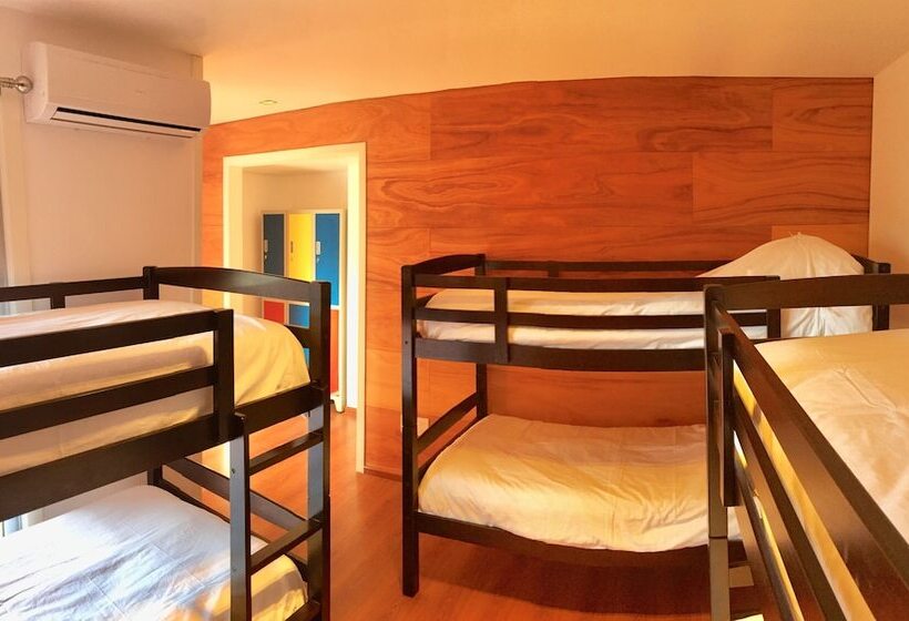 共用房间的床, Circus Hostel&hotel Montevideo