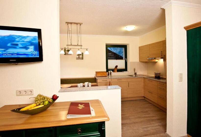 침실 2개 아파트, Alp Resort Tiroler Adler