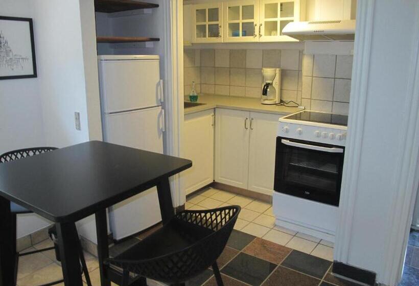 Люкс, Guesthouse Sharon Aarhus