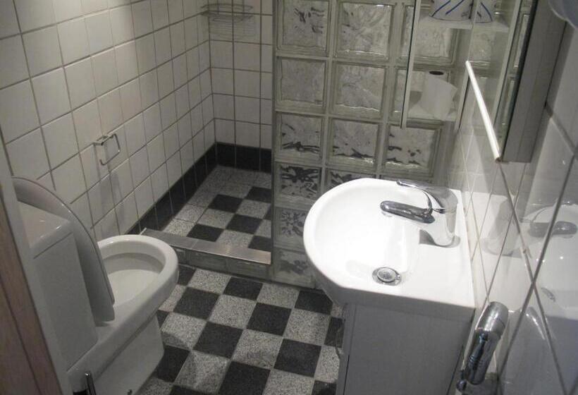 Люкс, Guesthouse Sharon Aarhus