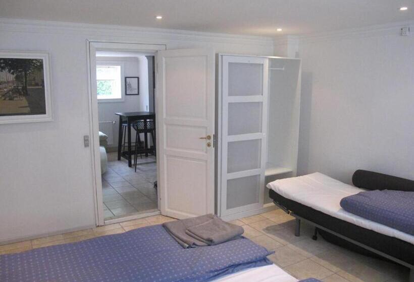 Люкс, Guesthouse Sharon Aarhus