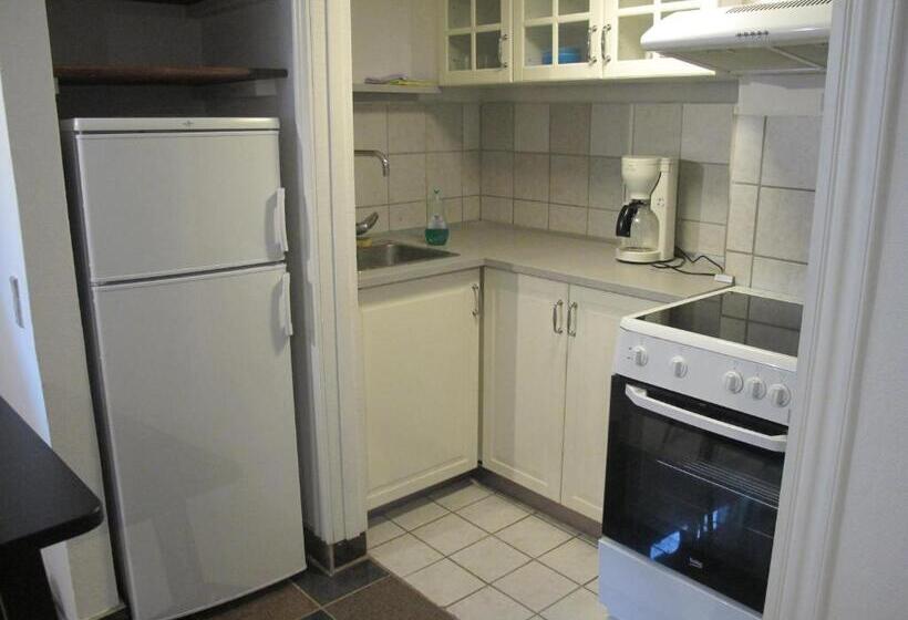 Люкс, Guesthouse Sharon Aarhus