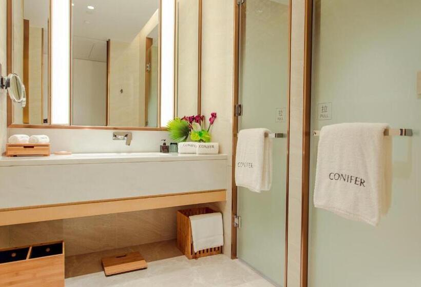 Номер Стандарт Вид на Сад, Sanya Conifer Resort