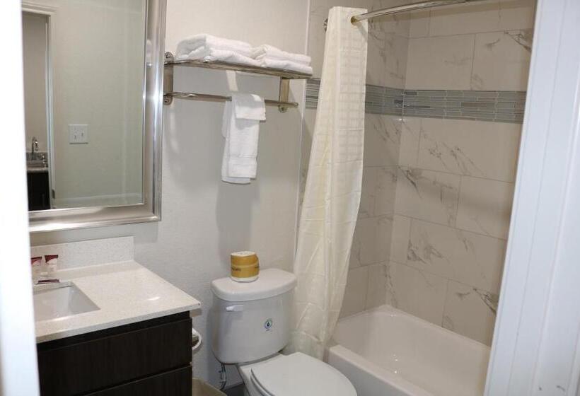 Standart Stüdyo, Scottish Inn & Suites  Iah Airport