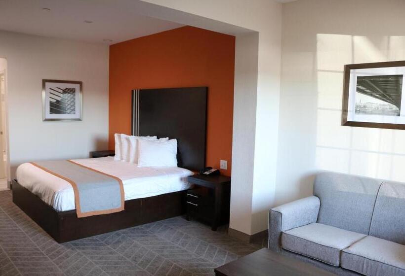Büyük Çift Kişilik Yataklı Standart Oda, Scottish Inn & Suites  Iah Airport