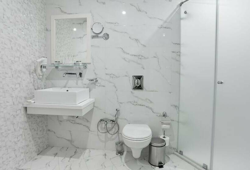 اتاق لوکس, Brosko Hotel Arbat