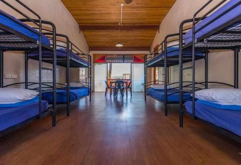 공동 객실, Aquarius Backpackers Resort