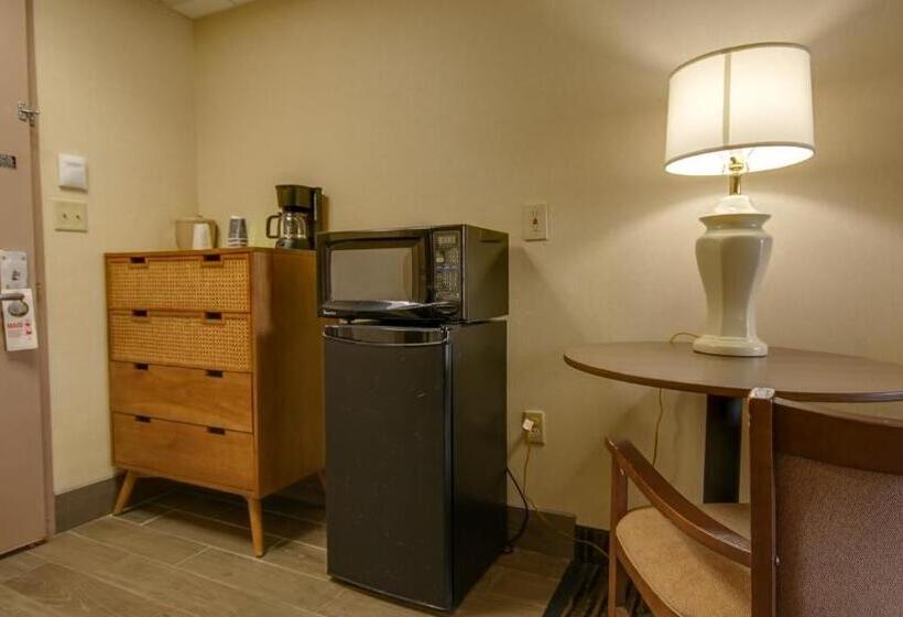 シングルデラックスルーム, Americana Motor Inn On Boardwalk