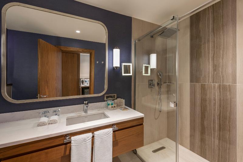 Deluxe Room City View, Elite World Grand Istanbul Kucukyali