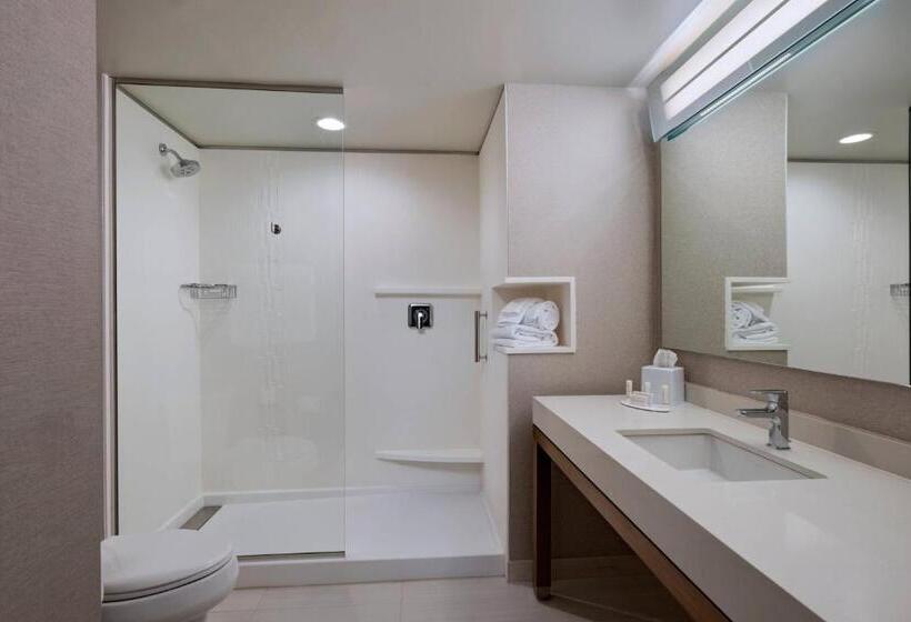 스탠다드 룸, Courtyard By Marriott Jackson Madison