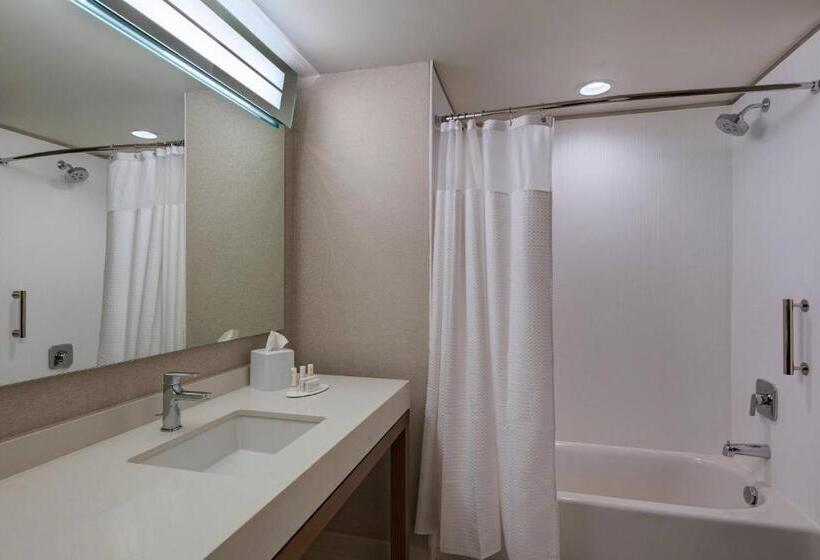 장애인용 디럭스룸, Courtyard By Marriott Jackson Madison