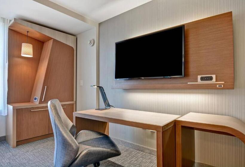 장애인용 디럭스룸, Courtyard By Marriott Jackson Madison