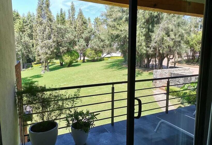 اتاق سوپریور, Boutique Unico Avandaro
