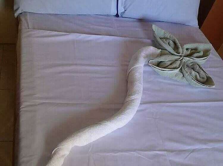 스탠다드 룸, N & F Guest House