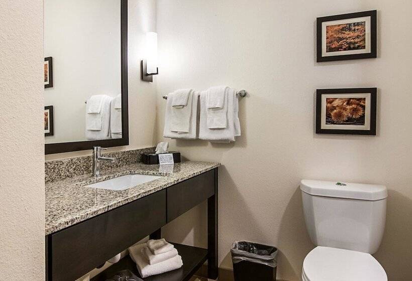 Люкс, Comfort Suites