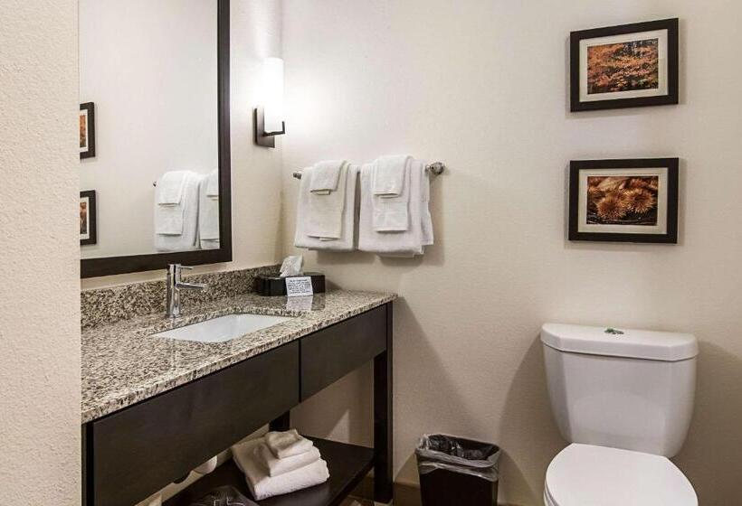 Люкс Кровать Кинг, Comfort Suites