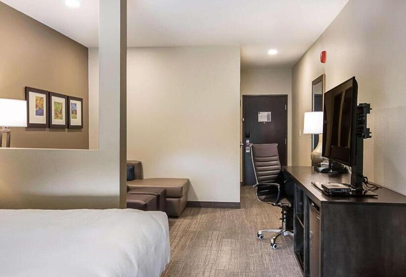 Люкс Адаптированный для Инвалидов, Comfort Suites