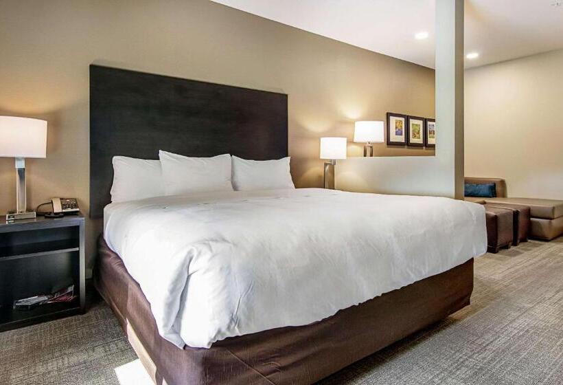 Люкс Адаптированный для Инвалидов, Comfort Suites