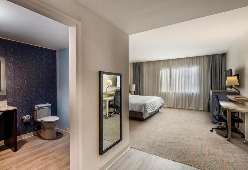 חדר סטנדרט, Holiday Inn & Suites   Aguascalientes, An Ihg