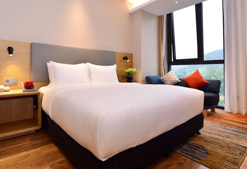 套房, Holiday Inn Express Luanchuan, An Ihg