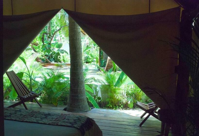 Standard Tent, Serena Tulum  Adults Only