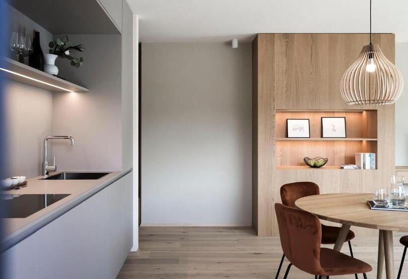 带1个卧室的豪华公寓, Astor Apartments