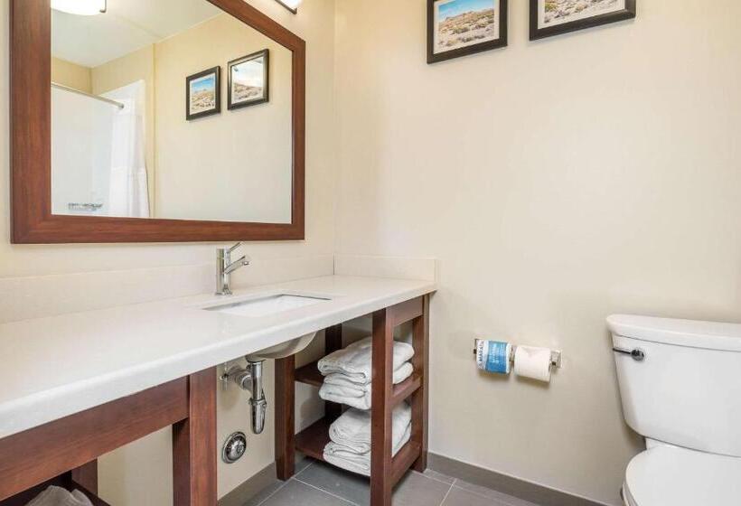 스탠다드 룸 킹사이즈 침대, Comfort Inn Tonopah
