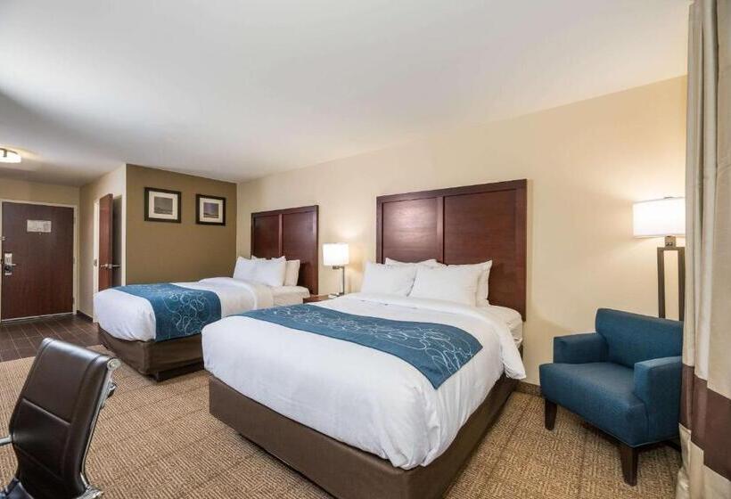 장애인을 위한 스탠다드 룸, Comfort Inn Tonopah