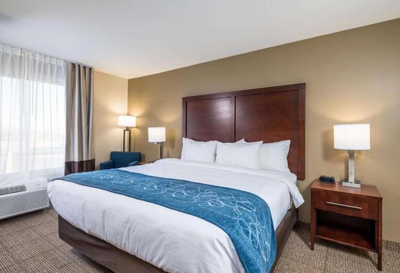 장애인을 위한 킹사이즈 침대 스탠다드 룸, Comfort Inn Tonopah