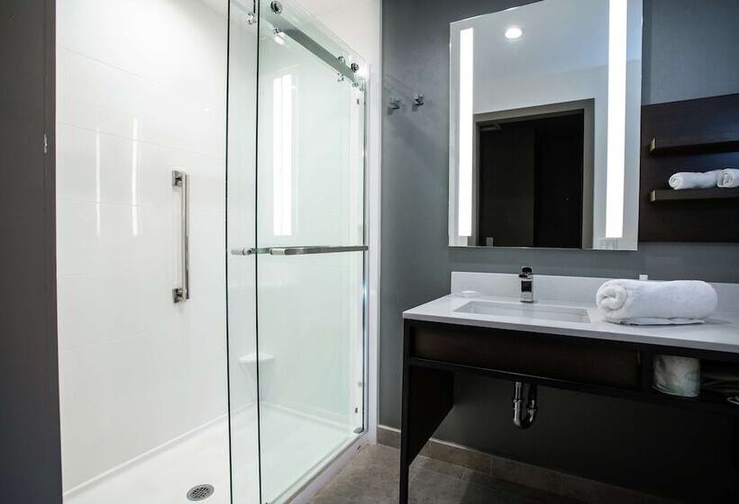 Номер Стандарт 2 Двуспальные Кровати, Hilton Garden Inn West Palm Beach I95 Outlets