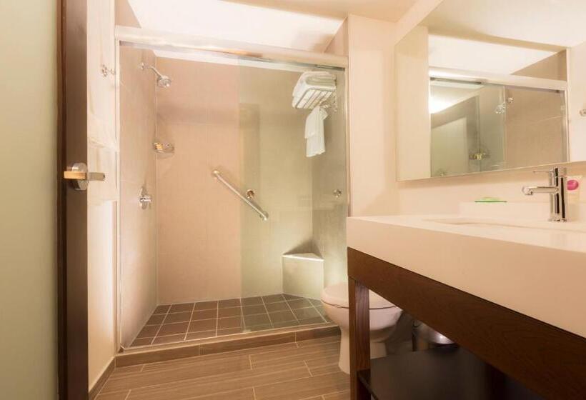 חדר סטנדרט, Hyatt Place Aguascalientes Bonaterra