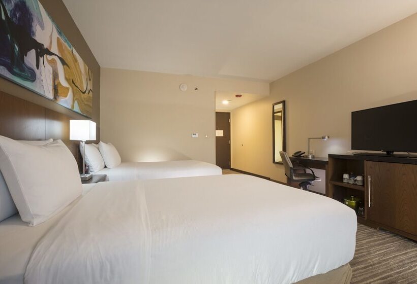 חדר סטנדרט, Hyatt Place Aguascalientes Bonaterra