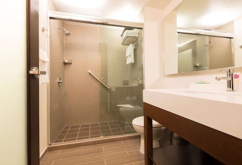 חדר סטנדרט בקומת סופריור, Hyatt Place Aguascalientes Bonaterra