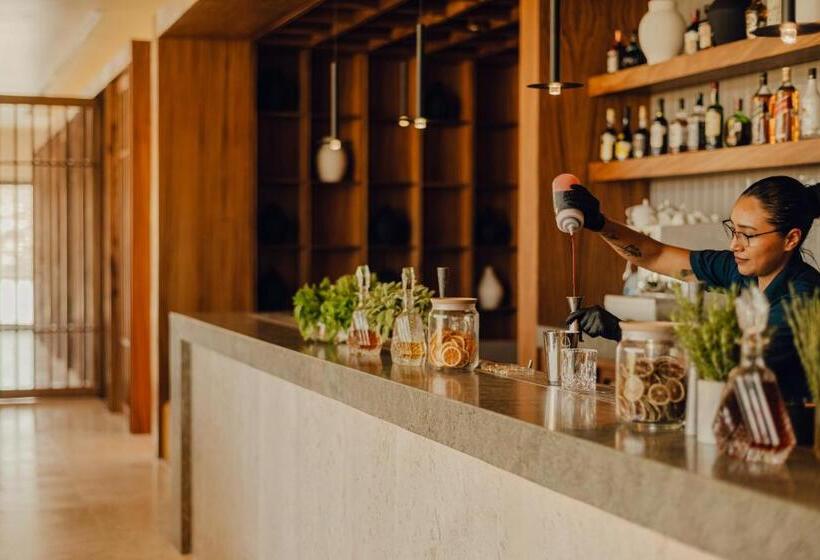 ２ベッドルームアパートメント, Nobu Hotel Los Cabos