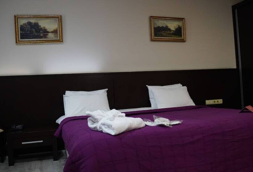 اتاق استاندارد, Arsan Otel