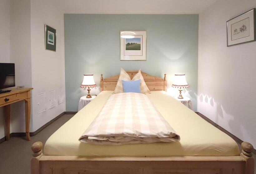 اتاق استاندارد یک نفره, Koller, Pension Haus